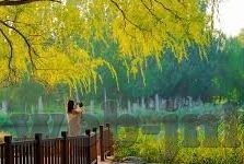 mk体育app狼堡-MK体育App狼堡，重塑数字时代的体育观赏体验